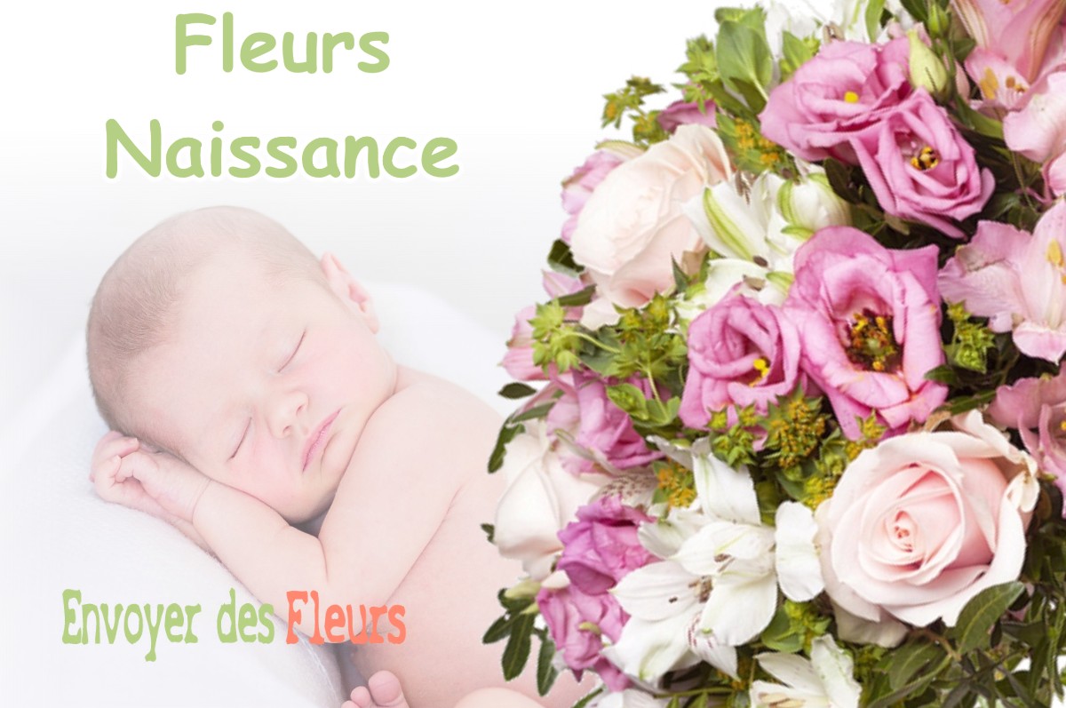 lIVRAISON FLEURS NAISSANCE à MONTAGNA-LE-RECONDUIT